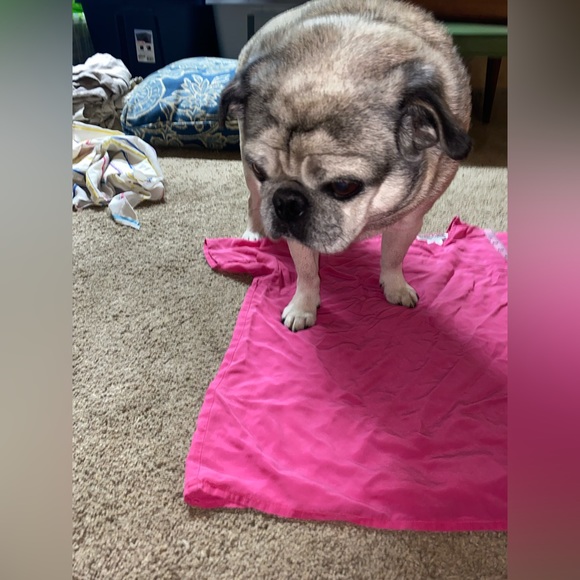 Vintage SILK Pink Blouse - Picture 5 of 7